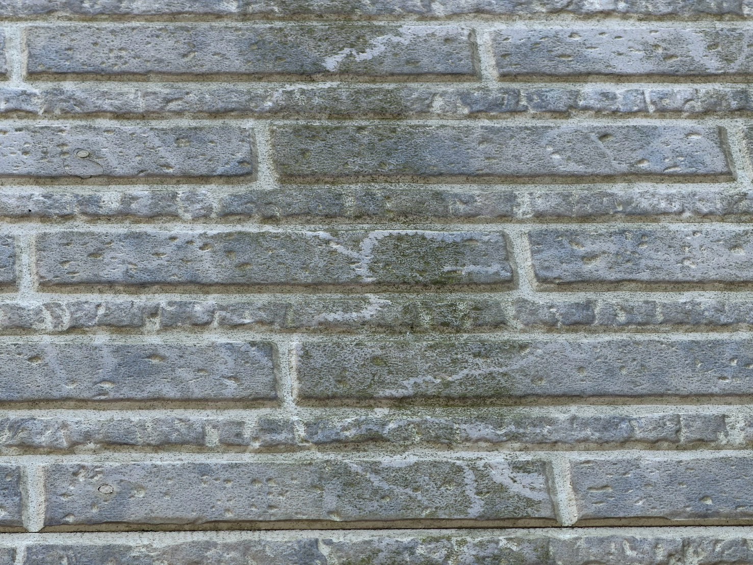 S__539189264.jpg